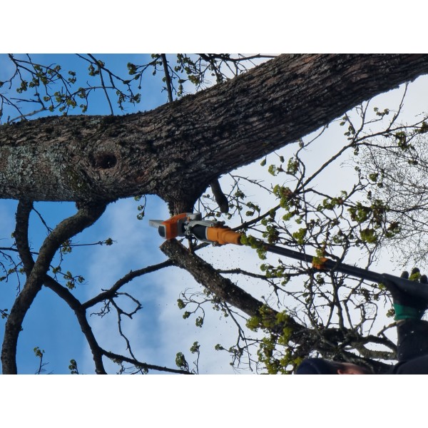 Мини-пила (сучкорез) аккумуляторная VILLARTEC SA 1462 (без комплекта)